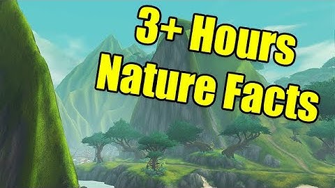 3+ Hours of World of Warcraft Nature Facts to Fall Asleep to | World of Warcraft