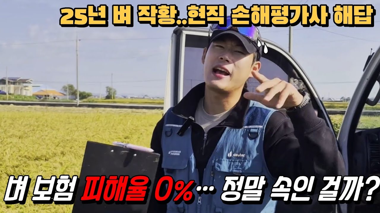 농민이 오해하는 농작물 보험 피해율, 그 이유를 공개합니다! 농민 필수 시청 