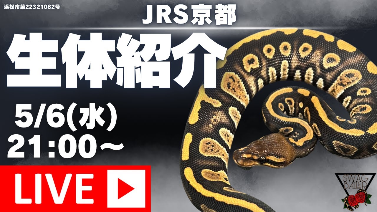 ヘビさん　専用 YouTube