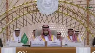 Saudi Prince Bin Salman condemned Israel's crimes in Gaza.