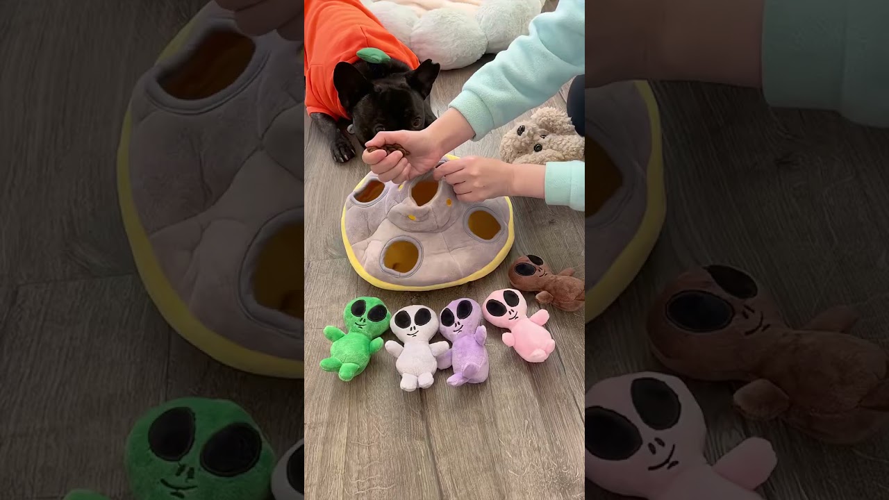 Frenchie reviews alien toys