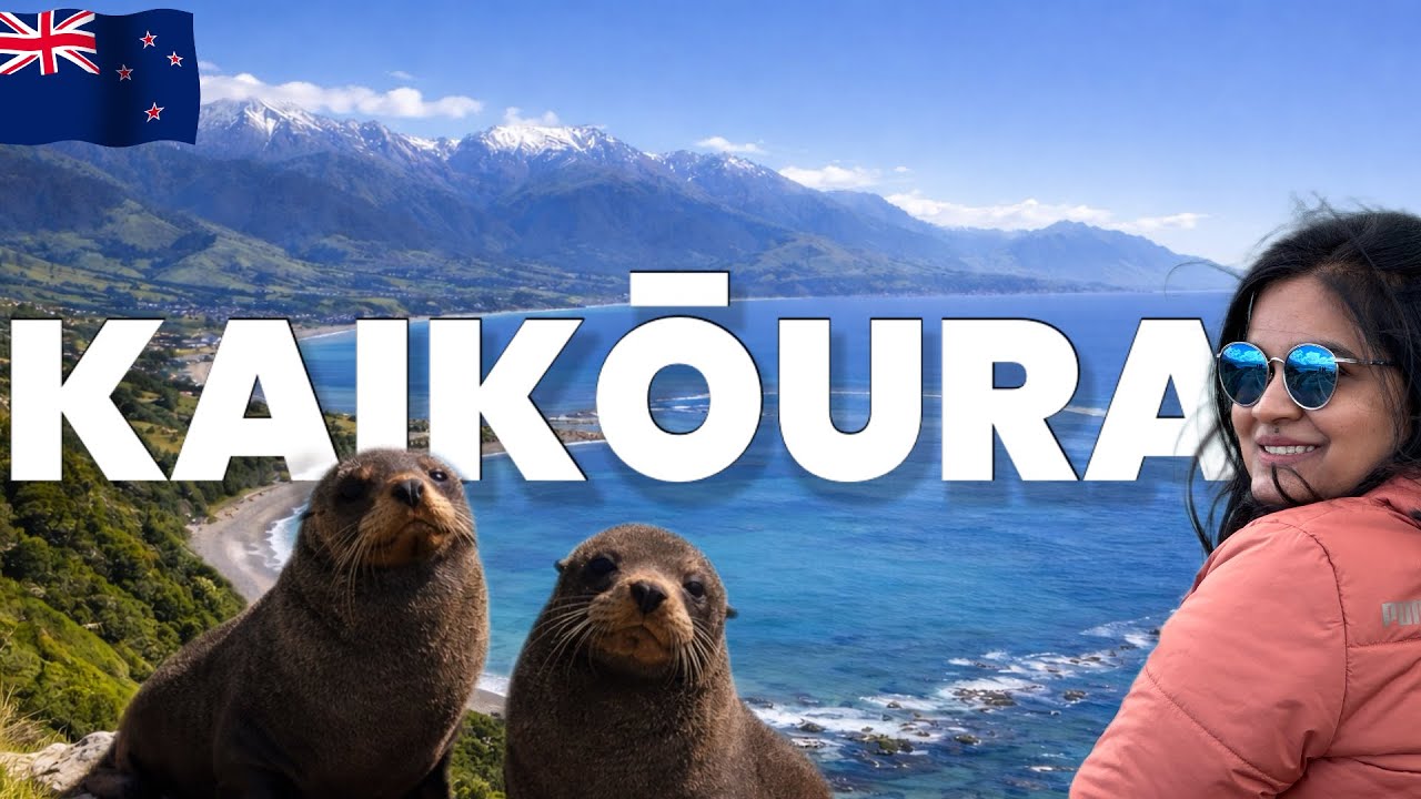 South Island Road Trip Day 3 | Picton to Kaikōura Scenic Drive, Seal Colony & Coastal Stops