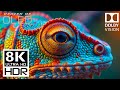 The Ultimate 8K ULTRA HDR Video | Dolby Vision HDR 8K 60 fps