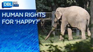 Case Brought by Nonhuman Rights Project to Determine if 'Happy' the Elephant is Imprisoned ‘Person’