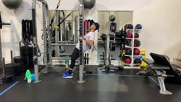 Inverted Row Iso Hold