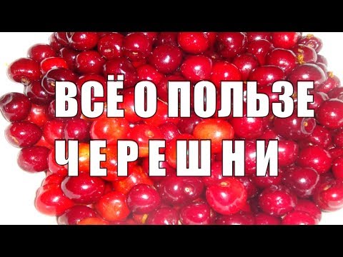 Черешня Всё о полезных свойствах черешни