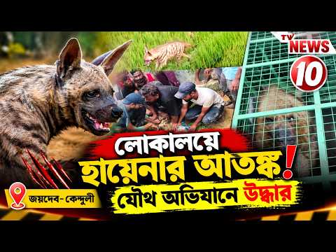 লোকালয়ে হায়েনার আতঙ্ক!যৌথ অভিযানে উদ্ধার || জয়দেব-কেন্দুলী ||