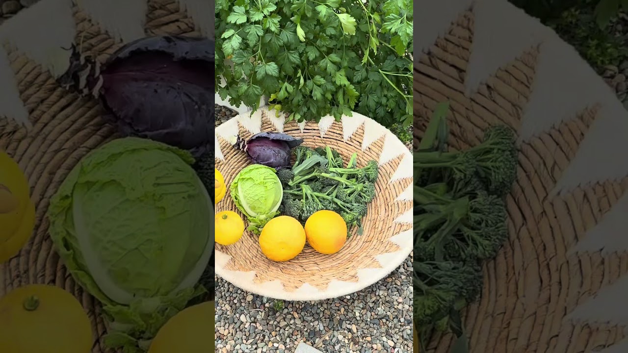 What is the best part of growing food for you?