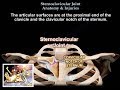 Anatomy Of The Sternoclavicular Joint - Everything You Need To Know - Dr. Nabil Ebraheim