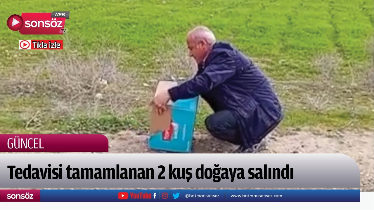 Tedavisi tamamlanan 2 kuş doğaya salındı