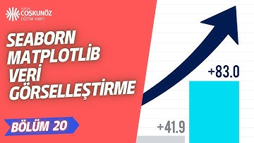 Veri Bilimi- Seaborn/Matplotlib Veri Görselleştirme (Data Visualization)