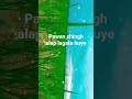 Pawan Singh Dhun Pawansingh Shorts Trending Viral Viralvideo Youtubeshorts Pawan Singh Dhun Pawansingh Shorts Trending Viral Viralvideo Youtubeshorts