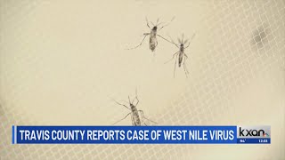 Austin Public Health: Travis County reports first case of West Nile virus in 2026