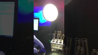 Wk 2 lab exercise 2