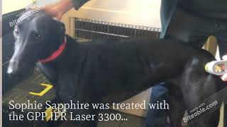 GPP IFR Laser 3300 Promotional Video