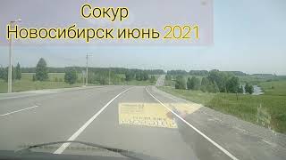 Сокур Новосибирск 2021