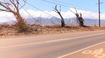 Downed communication cables spark concerns on Maui