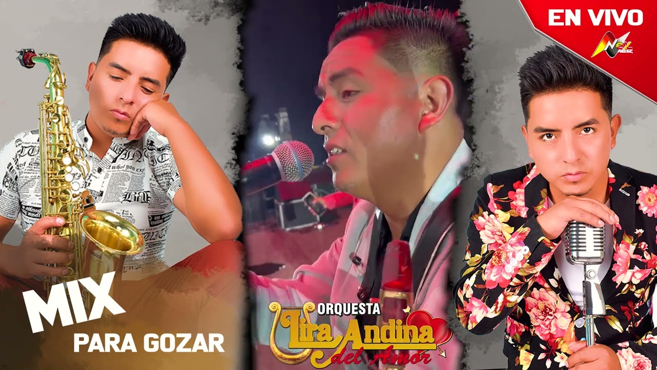 LIRA ANDINA DEL AMOR - MIX PARA GOZAR  