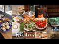 ãKyoto vlogã京éœçŸé£å·¡ãã®2æ³ïŒæ¥ðæž
氎寺|åµå±±|ç¥å|é¶èž|ã«ãã§å·¡ãâïž