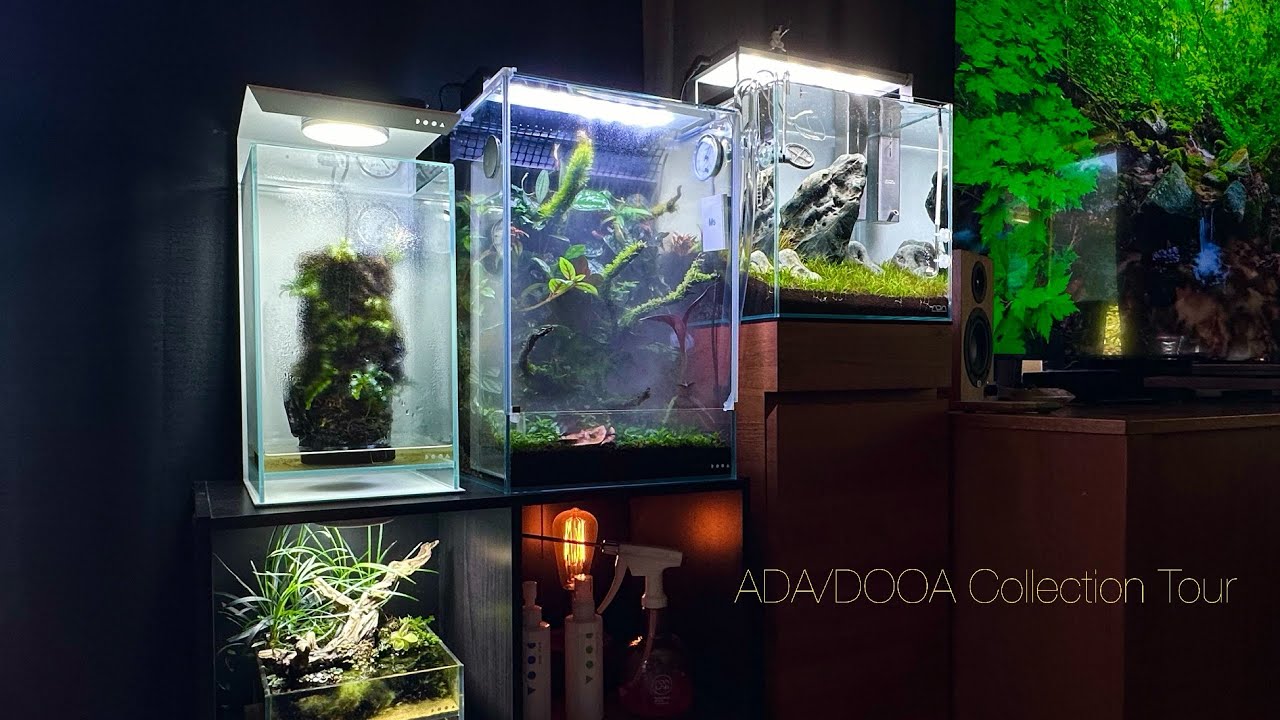 ADA LABパルダライト30ガラスポットMARU用展示スタンド! - YouTube