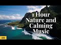 1 Hour Calming Music and Nature Footage For Work, Study and Relaxation | Relaxing Scenery