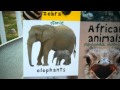 Afrykańskie zwierzęta