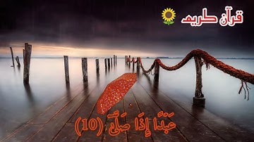 سورة العلق 🍁 القارئ أبو بكر الشاطري 🌾