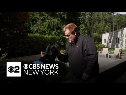 How a nonprofit is helping people with disabilities get service dogs