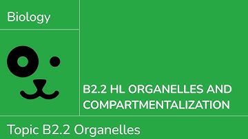 B2.2 HL Organelles and Compartmentalisation [IB Biology HL]