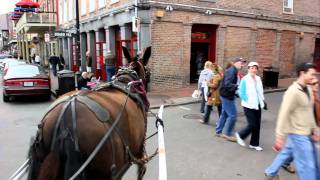 Runaway Mule!! New Orleans French Quarter  Horse Carraige Ride in HD