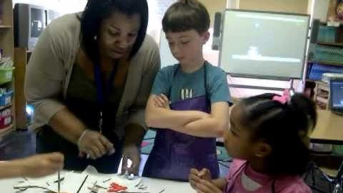 Special Education: ASD-NEST programs