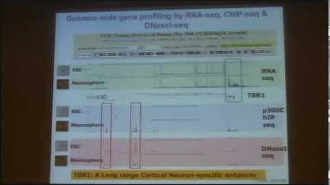 Big Data and New Models Needed to Study DNA Variation in Evolution and Cancer