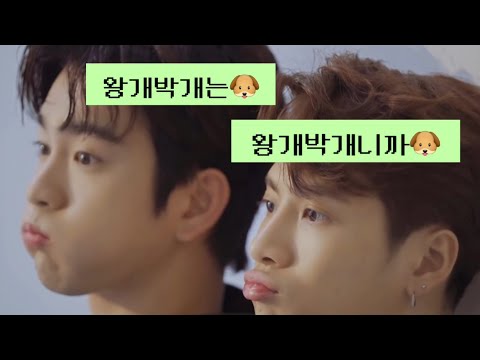 유겸 : 왕개박개는 왕개박개지 왕개박개니까🐶