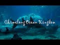 Самый большой аквариум в мире в Чжухае, Китай | Chimelong Ocean Kingdom | Алексей Рыжов