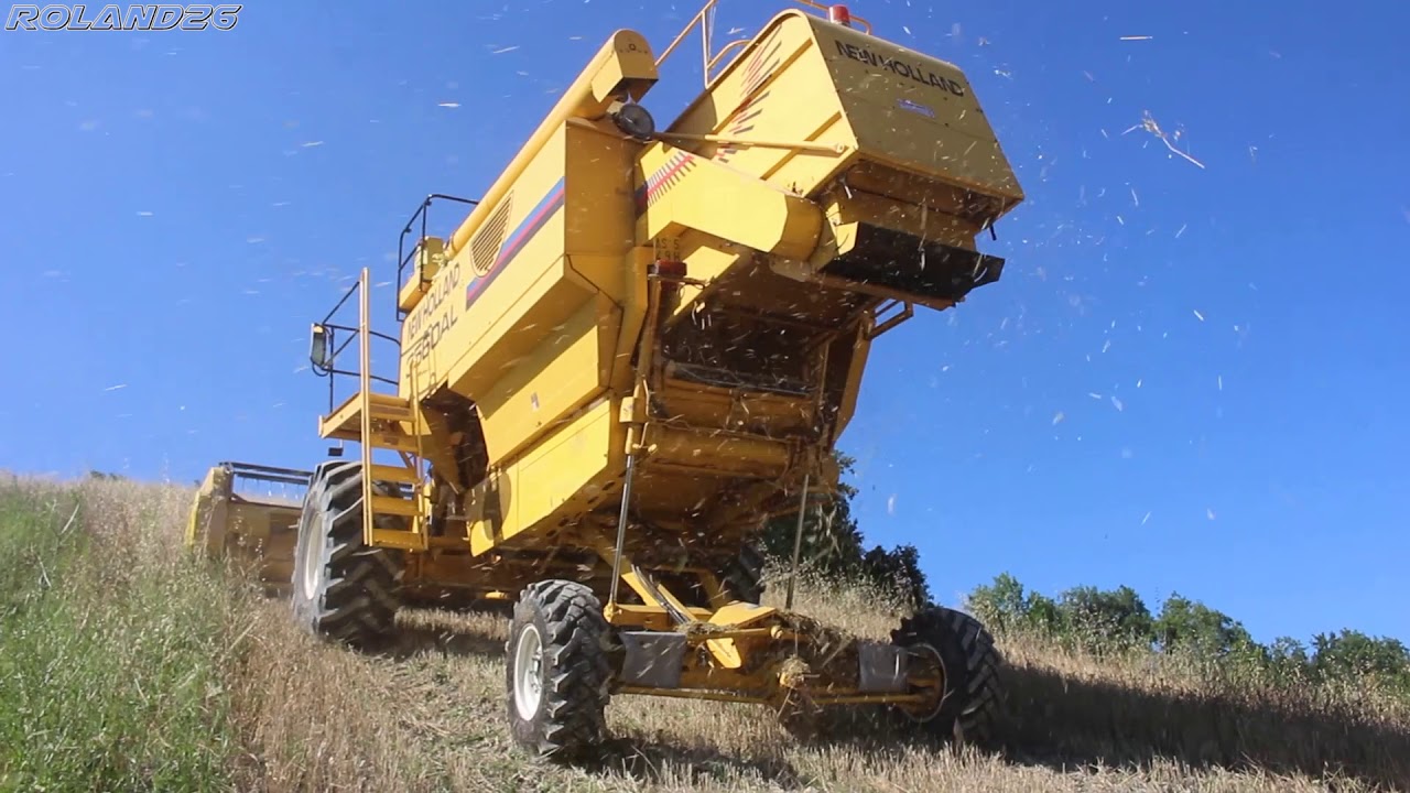 New Holland 3560AL [Az. Agr. Ferrara] -Harvest Season 2019-