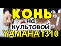 Сможет ли недорогая гитара удивить хорошим звуком? Yamaha f310 / Любэ - Конь / Фингерстайл