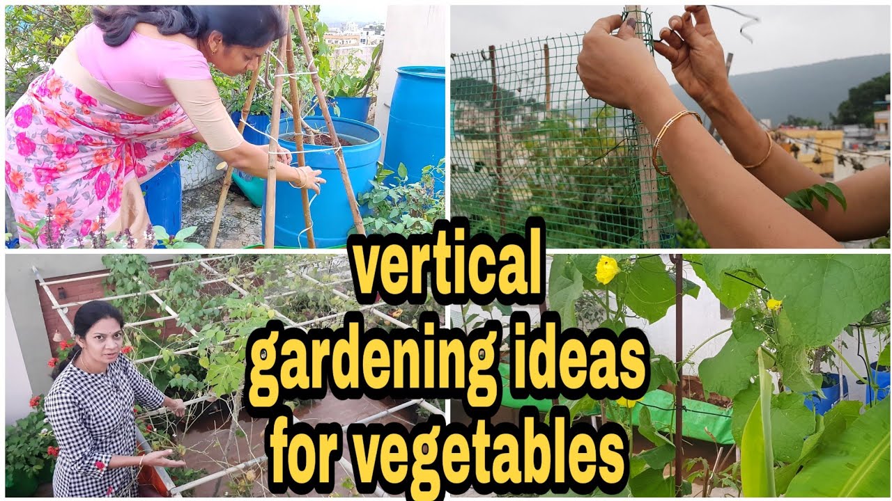 Vertical Trellis ideas/కూరగాయ పాదులు పాకించుకునే పందిళ్ల ఐడియాస్ 