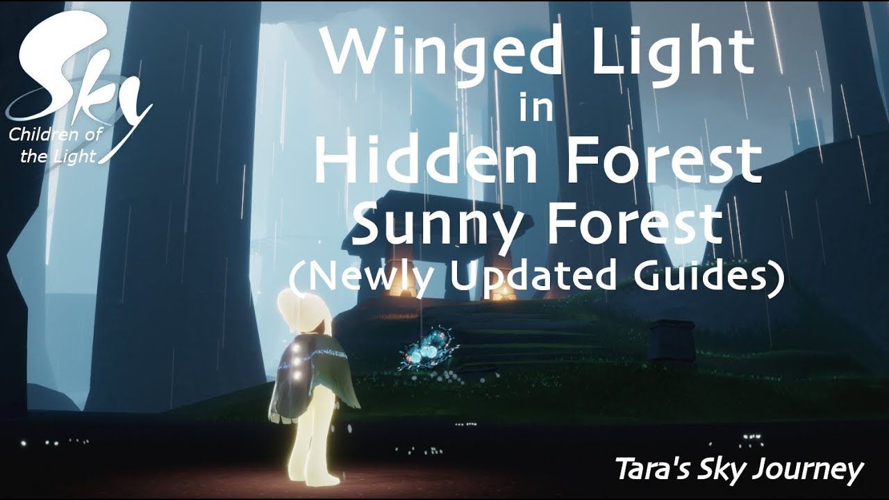 Winged Light in Hidden Forest (Sunny Forest) Sky Children of the