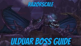 RAZORSCALE BOSS GUIDE - ULDUAR