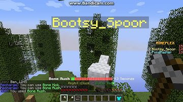 MinePlex SSM Teams Skylander