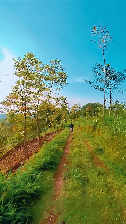 viewnya menyegarkan #dj #cover #lagu #dangdut #djremix #automobile #mtbfun #mtbreview #mtb