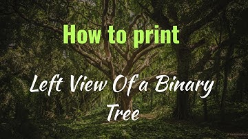 Left View of a Binary Tree | InterviewBit | Abinash Biswal