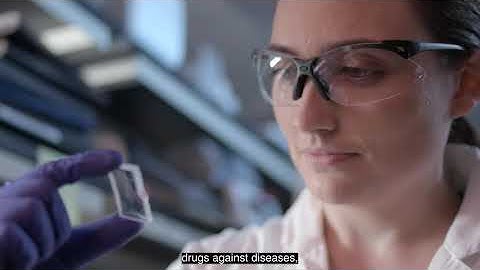 Chemistry & Biochemistry at WPI