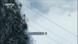 全世界最长的观光索道--张家界天门山索道 市区可以直达山顶《湘西》第六集【CCTV纪录】