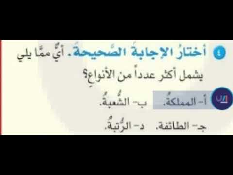 أي مما يلي يشمل اكبر عددا من الأنواع