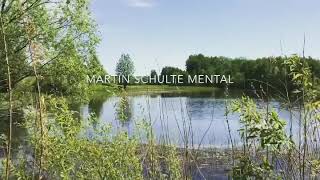 Martin Schulte - ‘Mental’