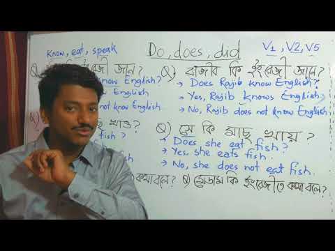 Do does did এভাবে শিখলে আর ভুলবে না কখনো