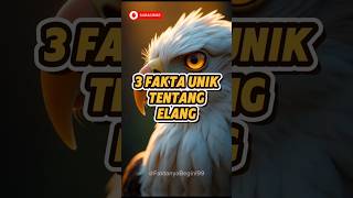 🔴 3 FAKTA UNIK BURUNG ELANG YANG SANGAT TAJAM 😱
