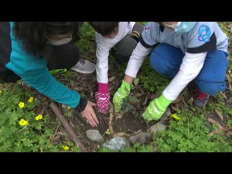 Cruz Roja y Sanidad se unen al lema "Nuestro Planeta, nuestra salud"