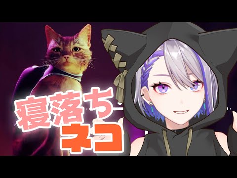 【STRAY】中低音ボイスのお姉さんとネコ散歩🐾寝落ち歓迎♪睡眠導入にも【#Vtuber/朔夜トバリ】